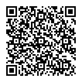 大園20米路旁工業廠店-QR CODE